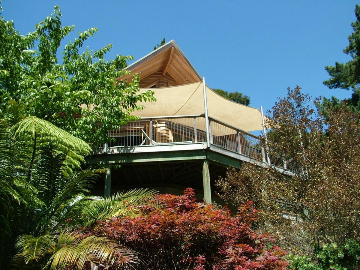 Waiotahi Valley Lodge Thames Eksteriør bilde